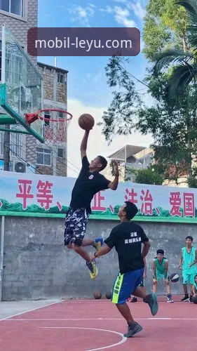 乐鱼体育篮球对比全面解析：从流樱登录到真实体验的深度分享
